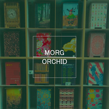Morg - Orchid