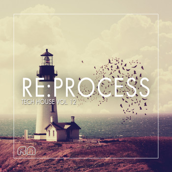Various Artists - Re:Process - Tech House, Vol. 12