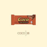 3B - Coco (Explicit)