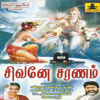 Various  Artists - Sivane Saranam