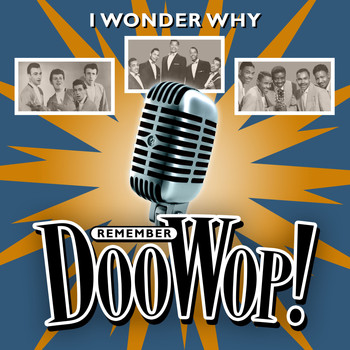 Various Artists - I Wonder Why (Remember Doo Wop)