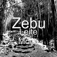 Zebu - Leite Moça