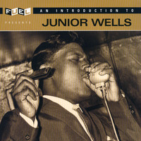 Junior Wells - An Introduction To Junior Wells