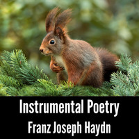 Franz Joseph Haydn - Instrumental Poetry: Franz Joseph Haydn