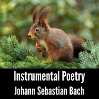 Johann Sebastian Bach - Instrumental Poetry: Johann Sebastian Bach
