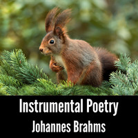 Johannes Brahms - Instrumental Poetry: Johannes Brahms