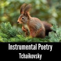 Tchaikovsky - Instrumental Poetry: Tchaikovsky
