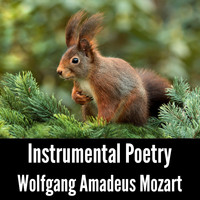 Wolfgang Amadeus Mozart - Instrumental Poetry: Wolfgang Amadeus Mozart
