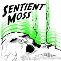Sentient Moss - Somebody, Somehow