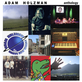 Adam Holzman - In a Loud Way