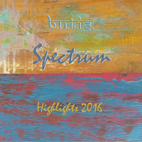 B.U.T.I.S. - Spectrum: Highlights 2016