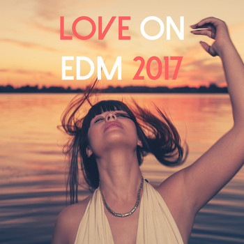 Various Artists - Love on EDM 2017