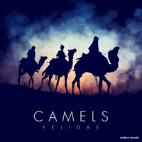 Felidae - Camels