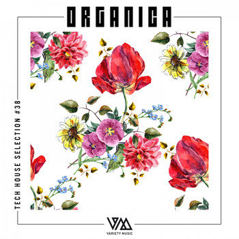 Various Artists - Organica #38
