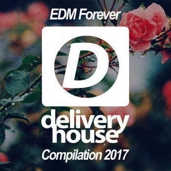 Various Artists - EDM Forever 2017