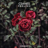 Csanes - Feeling
