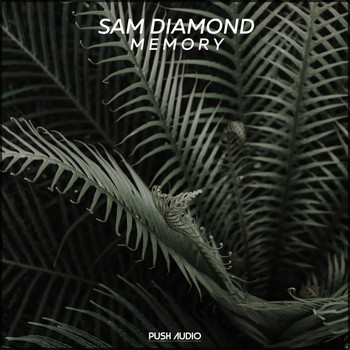 Sam Diamond - Memory