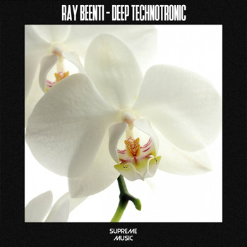 Ray Beenti - Deep Technotronic