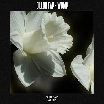 Dillon Tap - Womp