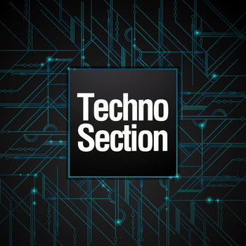 Various Artists - Techno Section