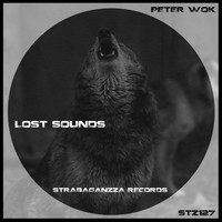 Peter Wok - Lost Sounds