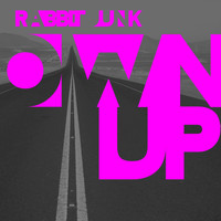 Rabbit Junk - Own Up