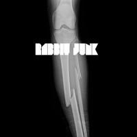 Rabbit Junk - Break Shins to This (Explicit)