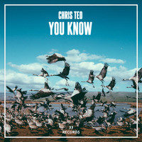 Chris Teo - You Know