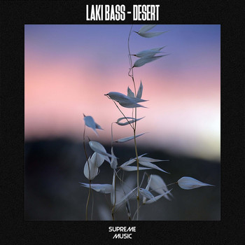 Laki Bass - Desert