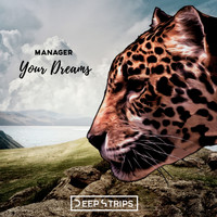 Manager - Your Dreams
