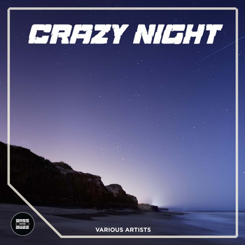 Various Artists - Crazy Night