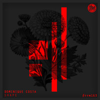 Dominique Costa - Shape