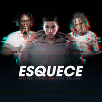 WaZe - Esquece