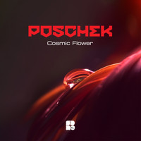 Poschek - Cosmic Flower