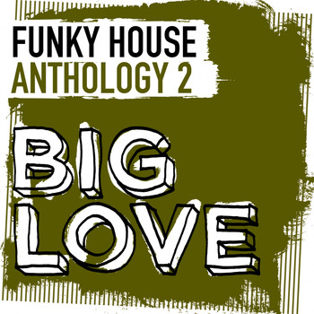 Various Artists - Big Love Funky House Anthology 2