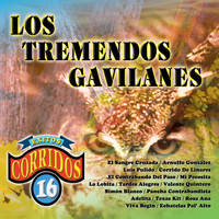 Los Tremendos Gavilanes - 16 Exitos Corridos