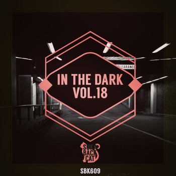 Various Artists - In the Dark, Vol. 18