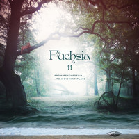 Fuchsia - Fuchsia II : From Psychedelia to a Distant Place