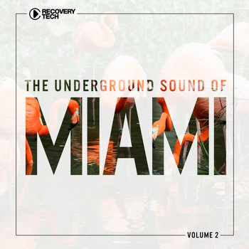 Various Artists - The Underground Sound of Miami, Vol. 2