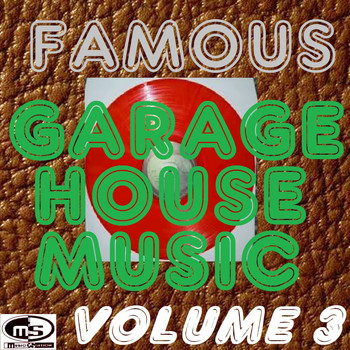 Various Artists - Famous Garage House Music, Vol. 3 (DJ Megamix)