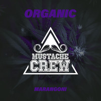 Marangoni - Organic