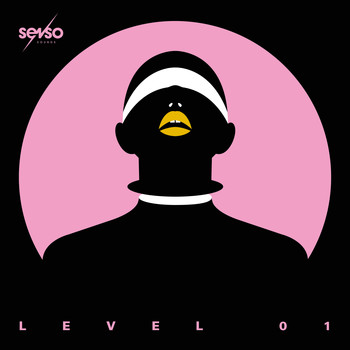 Various Artists - Senso Sounds Level 01