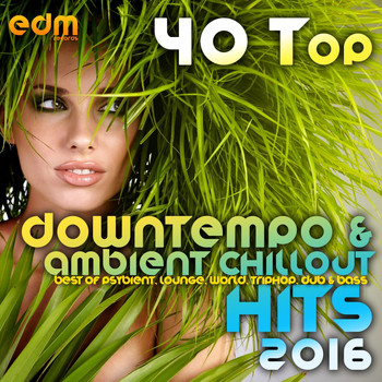 Various Artists - 40 Top Downtempo & Ambient Chillout Hits 2016 (Best Of Psybient, Lounge, World, TripHop, Dub & Bass)