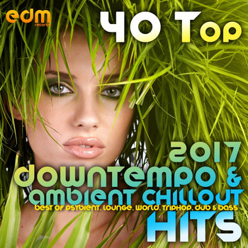 Various Artists - 40 Top Downtempo & Ambient Chillout Hits 2017 (Best Of Psybient, Lounge, World, TripHop, Dub & Bass)