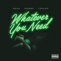 Meek Mill - Whatever You Need (feat. Chris Brown & Ty Dolla $ign) (Explicit)