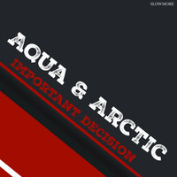 Aqua & Arctic - Important Decision