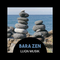Lugnande zen musikzon - Bara zen: Lugn musik – Orientaliska Vibbar för Läkning av Yoga, Guidad Meditation och Djup Sömn