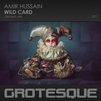 Amir Hussain - Wild Card