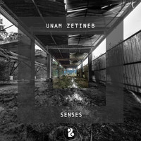 Unam Zetineb - Senses