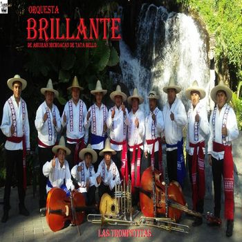 Orquesta Brillante De Ahuiran michoacan - Las Trompetitas